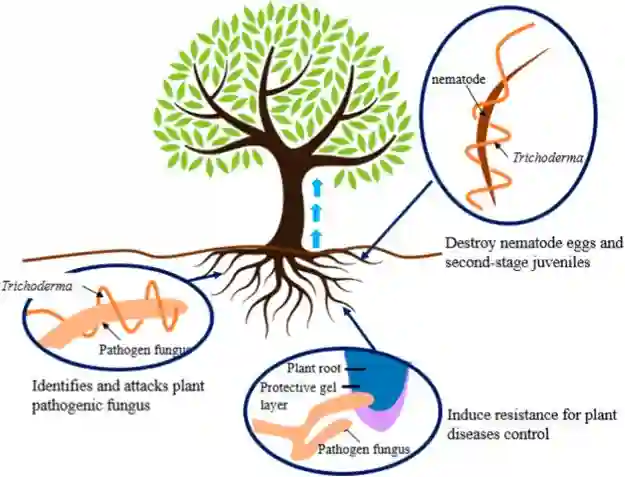 Transforming Sustainable Agriculture Technology Sustainable Agriculture Technology