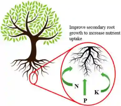 Transforming Sustainable Agriculture Technology Sustainable Agriculture Technology