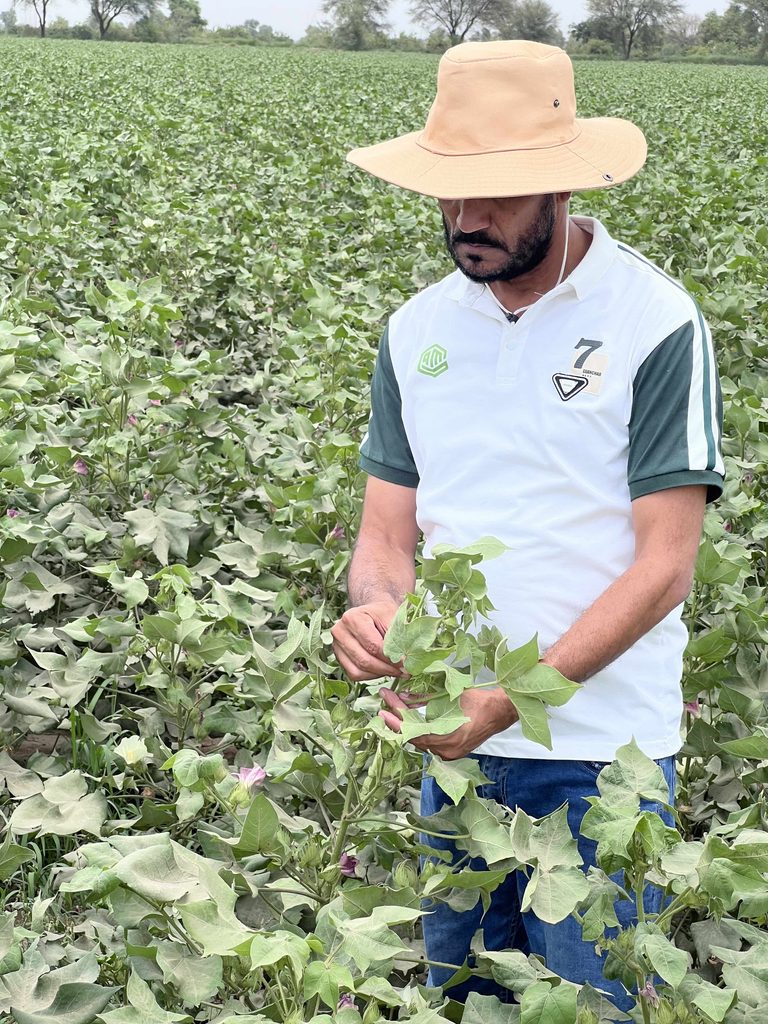 Green Agri Marketing Participates in World Cotton Day 2026 – CCRI Multan IMG 4089 768x1024 1
