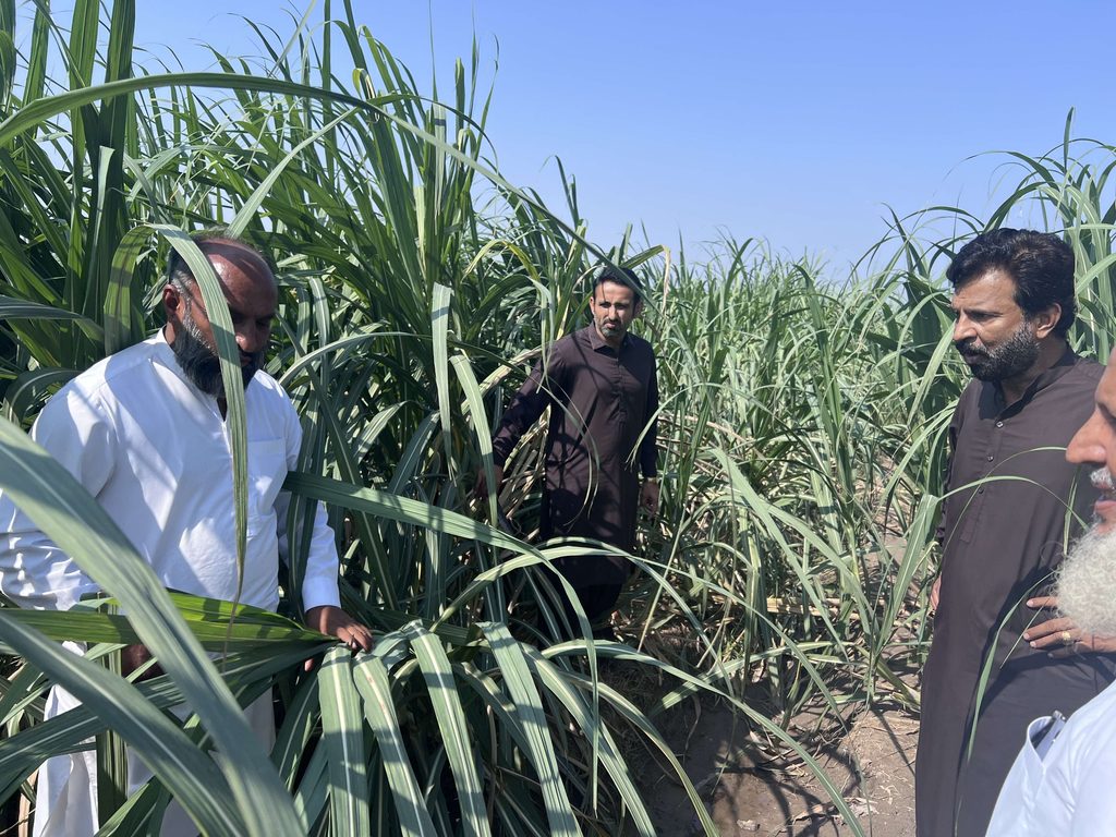 Green Agri Marketing and Kashmir Sugar Mills Limited Hold Joint Farmer Meeting to Advance Climate-Resilient Sugarcane Production IMG 5307